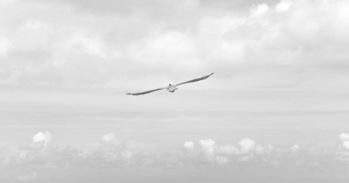 抖音带货：普通人能做吗？聊聊真实情况