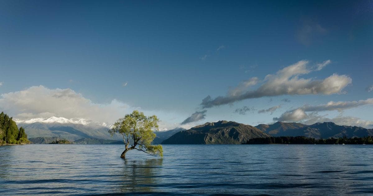 付费社群太赚了！普通人如何做一个年入30万的社群