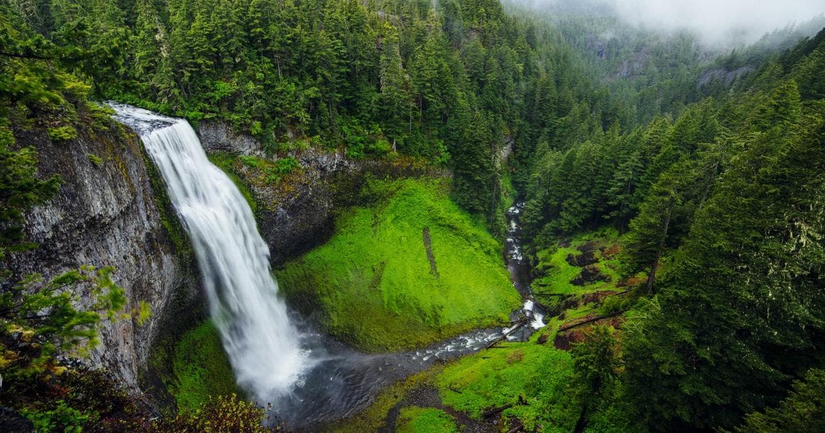 AI帮改简历：靠这一招，普通人也能闷声月入过万